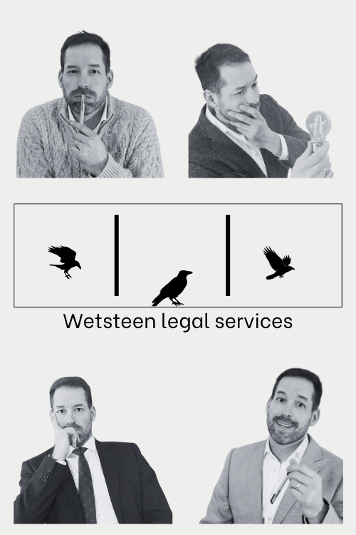 pasfoto website (500 x 750)